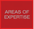 AREAS OF EXPERTISE